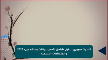 تحديث ضروري.. دليل شامل لتجديد بيانات بطاقة ميزة 2025 والمتطلبات الرسمية